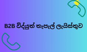 b2b විද්‍යුත් තැපැල් ලැයිස්තුව