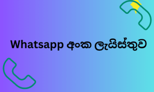 Whatsapp අංක ලැයිස්තුව