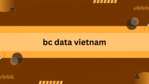 bc data vietnam