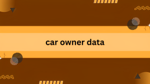 car owner data