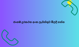  ජංගම දුරකථන අංක ලැයිස්තුව මිලදී ගන්න