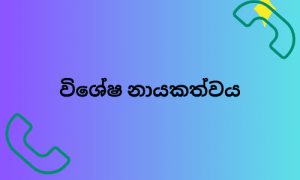 විශේෂ නායකත්වය