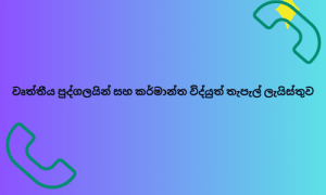 වෘත්තීය පුද්ගලයින් සහ කර්මාන්ත විද්‍යුත් තැපැල් ලැයිස්තුව